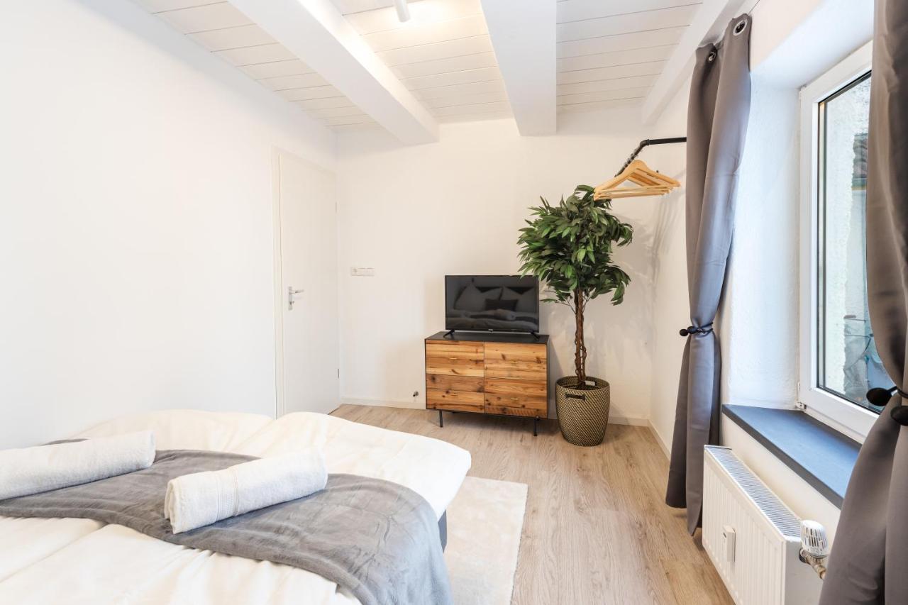 Terrace Apartment With 5 Rooms, Whirlpool And Bbq Augsburg Zewnętrze zdjęcie